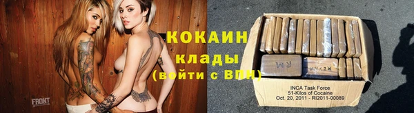 стаф Алзамай