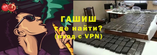 стаф Алзамай