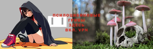 шишки Алексеевка