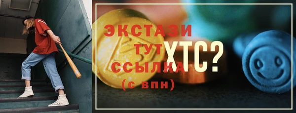 стаф Алзамай