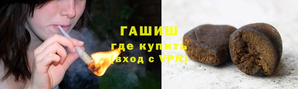 стаф Алзамай