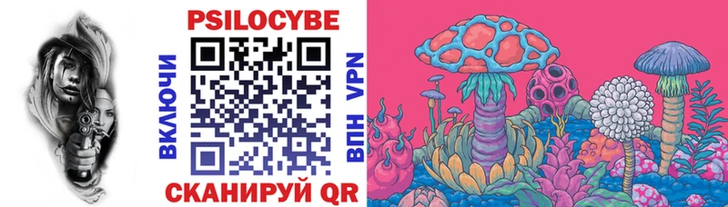 Псилоцибиновые грибы мицелий  omg   Агрыз 